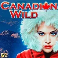 Canadian WildHighfive game thumbnail